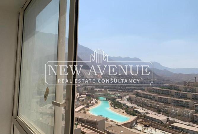 8338374 - Property Image 3