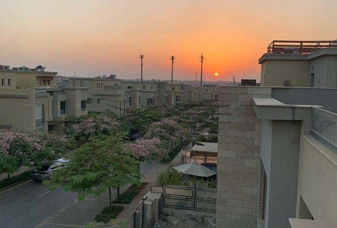 7904749 - صورة العقار 2