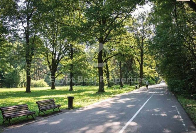 8261735 - صورة العقار 3