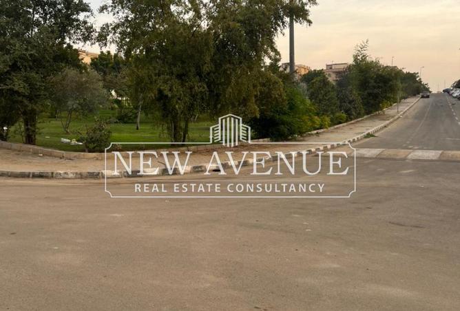 8351537 - Property Image 2