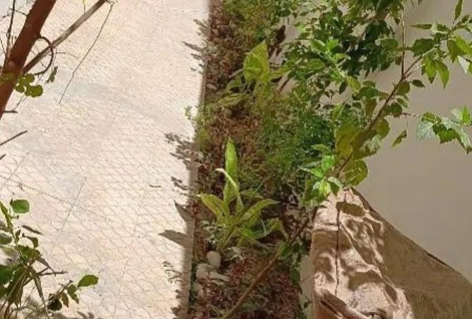 8049451 - صورة العقار 3