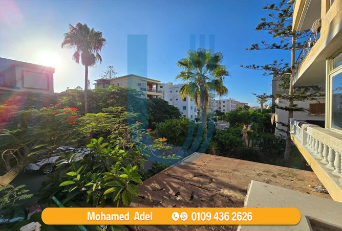 7966993 - صورة العقار 2