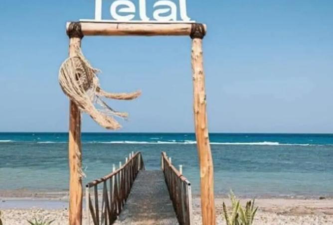 8245461 - صورة العقار 2