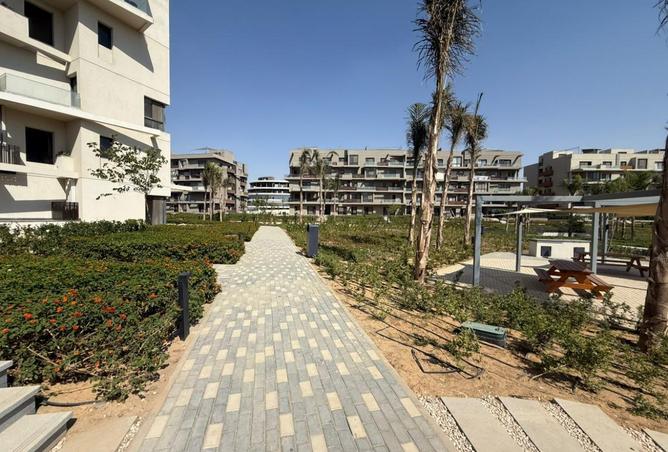 8039384 - صورة العقار 3