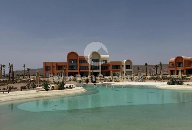 8203004 - Property Image 3