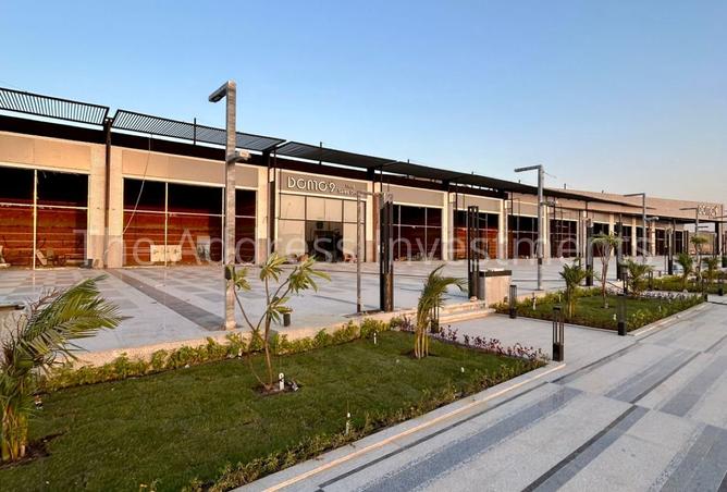 8382664 - Property Image 2