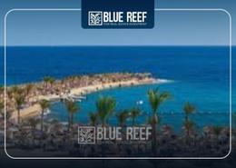 Apartment - 1 bedroom for للبيع in Soma Breeze - Soma Bay - Safaga - Hurghada - Red Sea