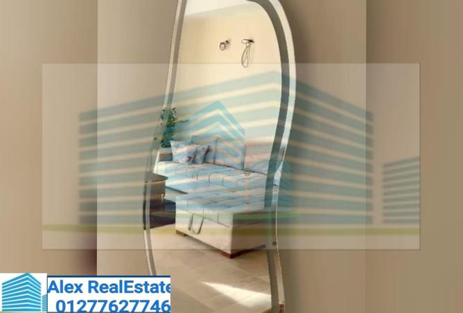 7833758 - Property Image 3