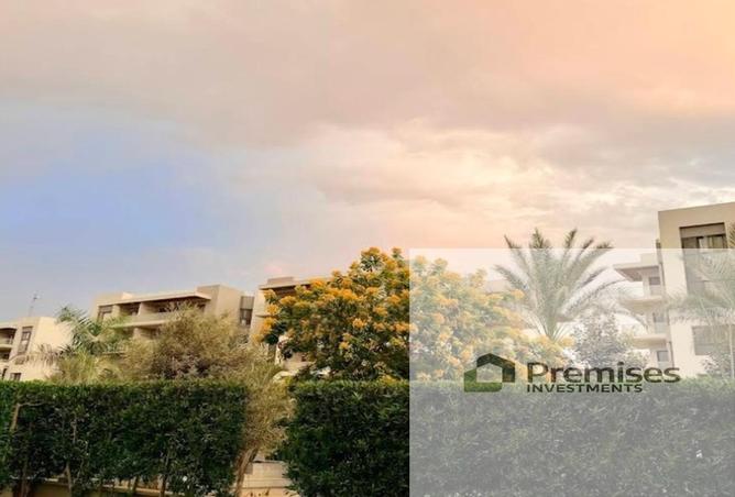 8431984 - صورة العقار 2