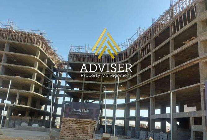 8098286 - Property Image 3