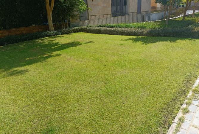 8172525 - Property Image 2