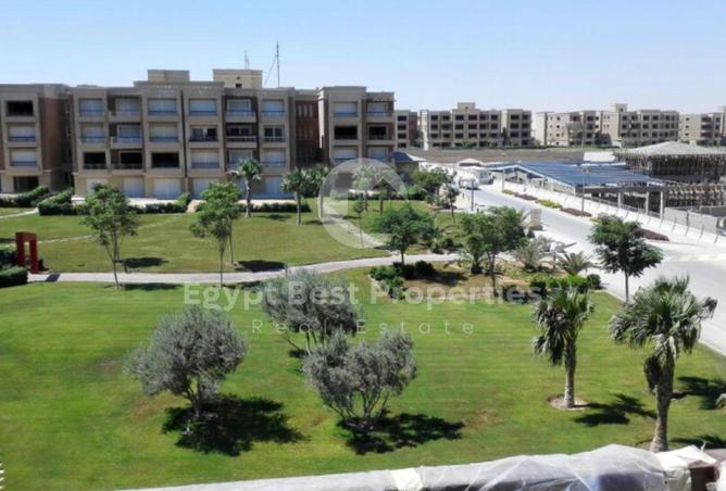 8053370 - Property Image 3