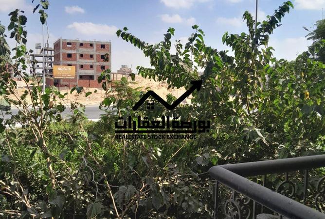 8061678 - صورة العقار 3