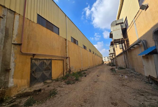 8555693 - صورة العقار 3