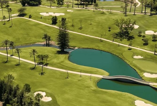 8555088 - صورة العقار 3