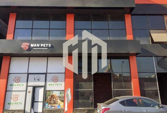 8094531 - Property Image 3