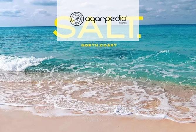 8139582 - صورة العقار 3