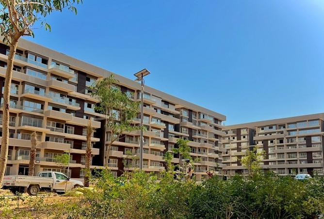 8239437 - Property Image 3