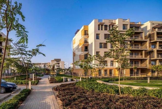 8352644 - Property Image 3