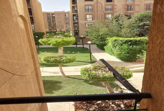 8092346 - Property Image 3