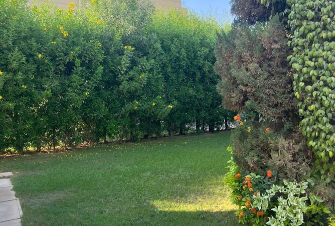 8497221 - صورة العقار 3