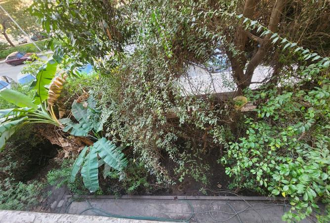 8523057 - الصورة الرئيسية للعقار