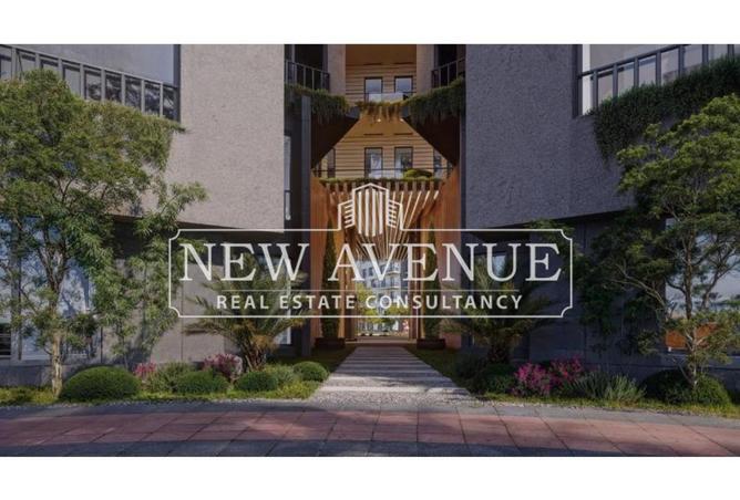 8288498 - Property Image 2