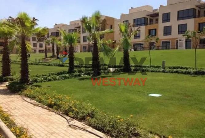 8411516 - Property Image 3