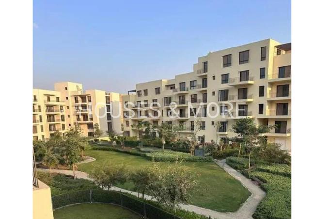 8007822 - صورة العقار 2