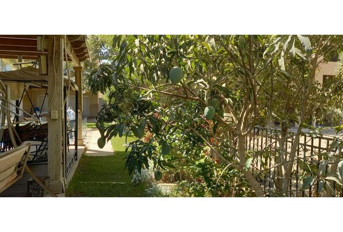 8136841 - Property Image 3