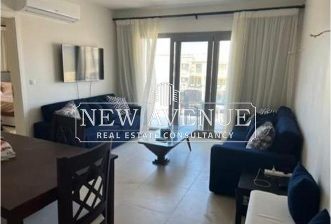 8186496 - Property Image 2