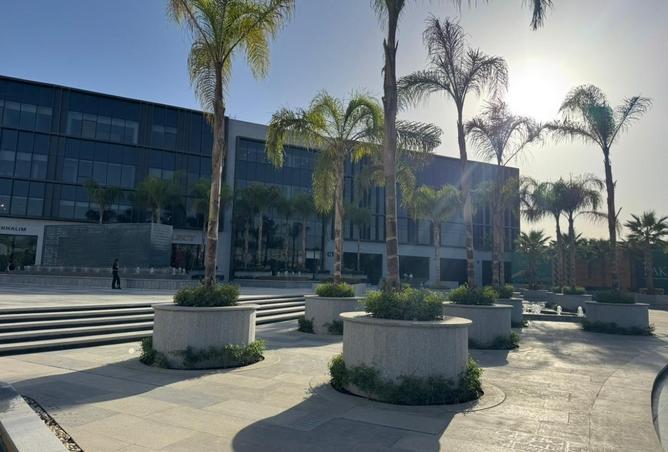 8235206 - Property Image 2