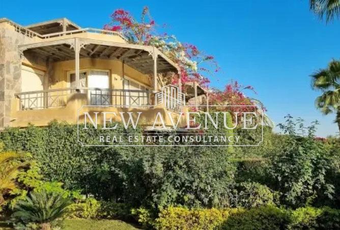 8480534 - Property Image 3