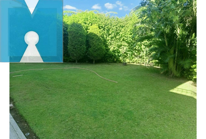8020798 - Property Image 2