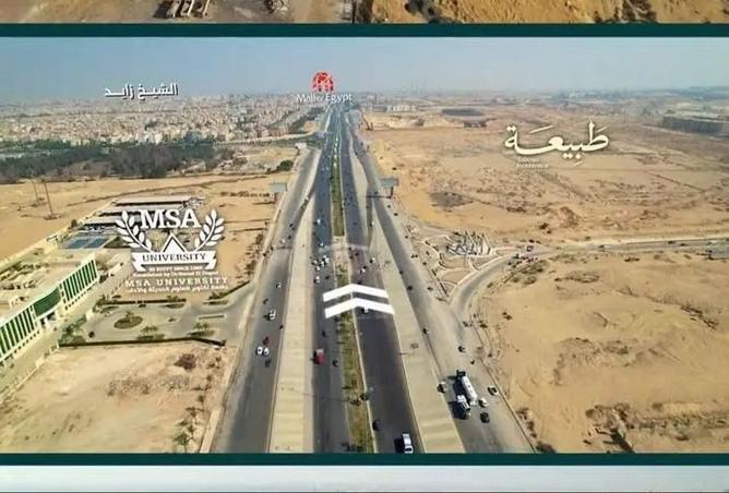 8374603 - Property Image 3