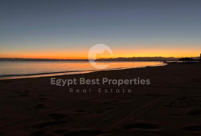 7906048 - صورة العقار 2