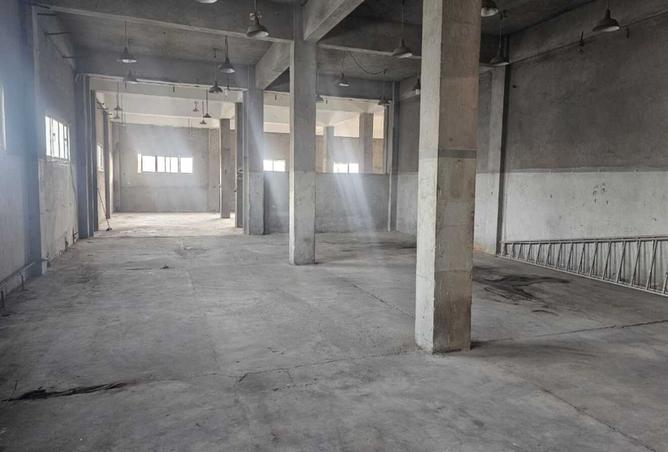 8388501 - صورة العقار 2