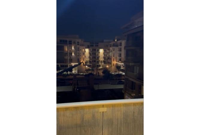 7962019 - صورة العقار 3