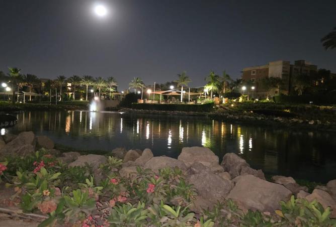 8477789 - صورة العقار 3