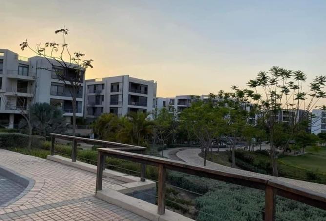 8395148 - Property Image 3