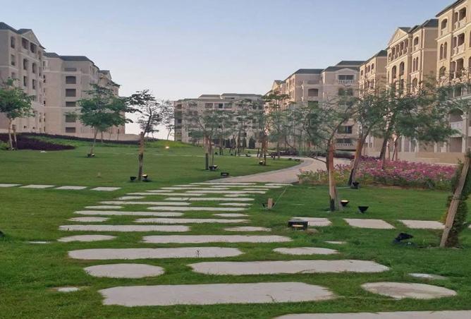 8295828 - Property Image 3