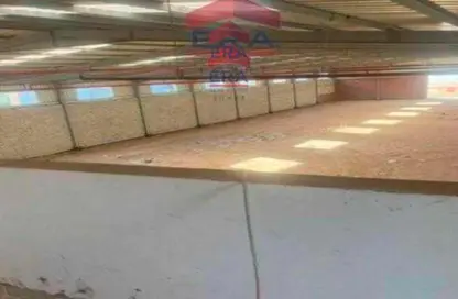 Warehouse - Studio - 4 Bathrooms for rent in Badr City - Cairo