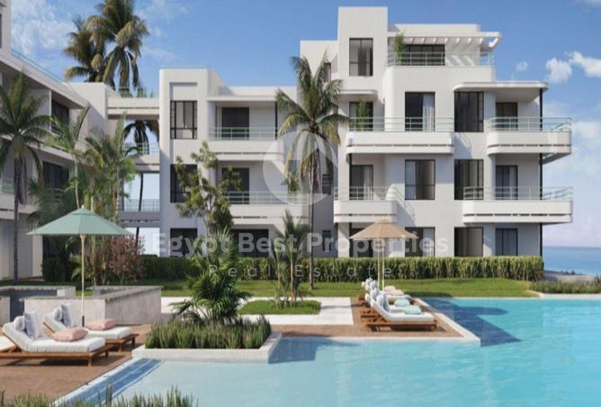 8045624 - Property Image 3