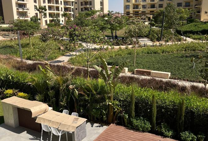 8038705 - صورة العقار 2