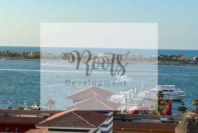 8063992 - Property Image 3