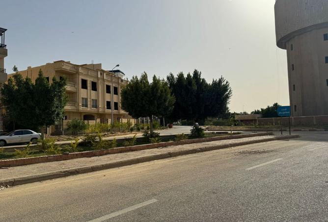 7954203 - صورة العقار 3