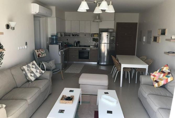 8476445 - الصورة الرئيسية للعقار