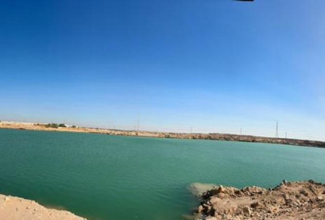 8194776 - صورة العقار 3