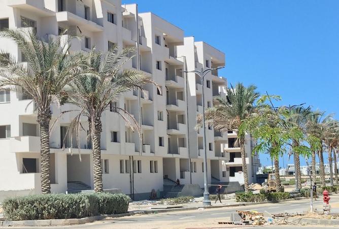 8232524 - صورة العقار 3