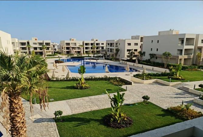 7969675 - صورة العقار 2